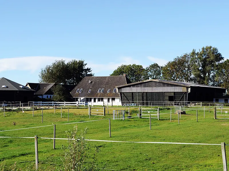 Reiterhof Immensee Fewo