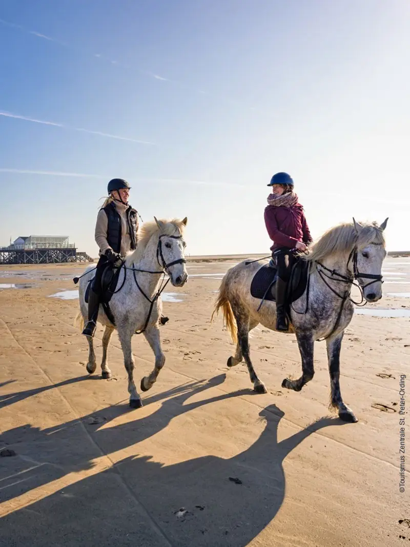 Reitstunden und Strandausritte